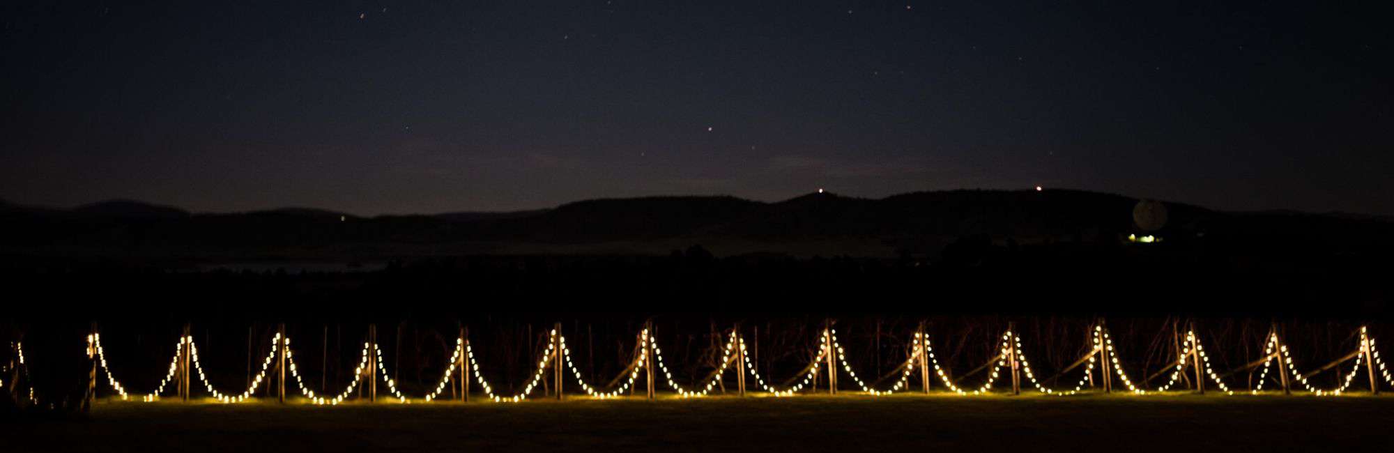 Hobart Events | Wedding Fairy Lighting Hire at Frogmore Creek