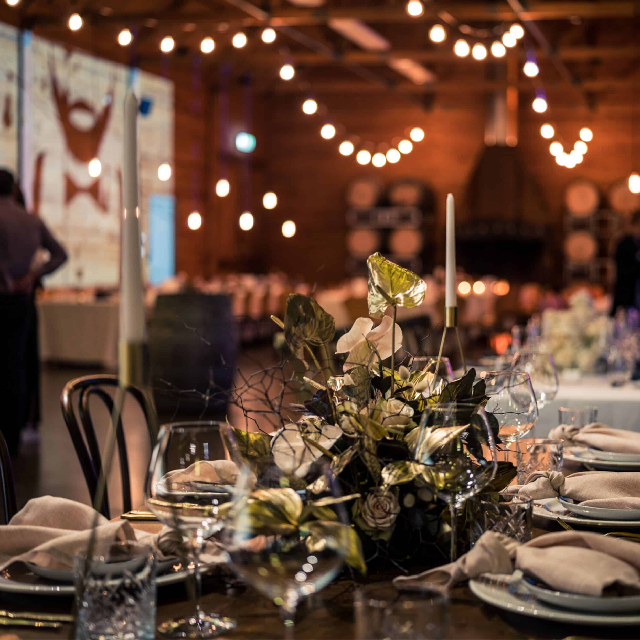 Hobart Events | Wedding Festoon Lighting Hire at Frogmore Creek 